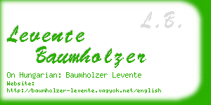 levente baumholzer business card